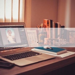 上位by萝卜兔子简介,by萝卜兔子，揭秘职场晋升之路