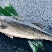 吃瓜表情包 网红黑料牛奶秋刀鱼